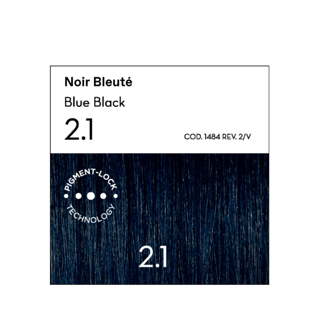 2.1 Noir Bleuté Coloration - Argan