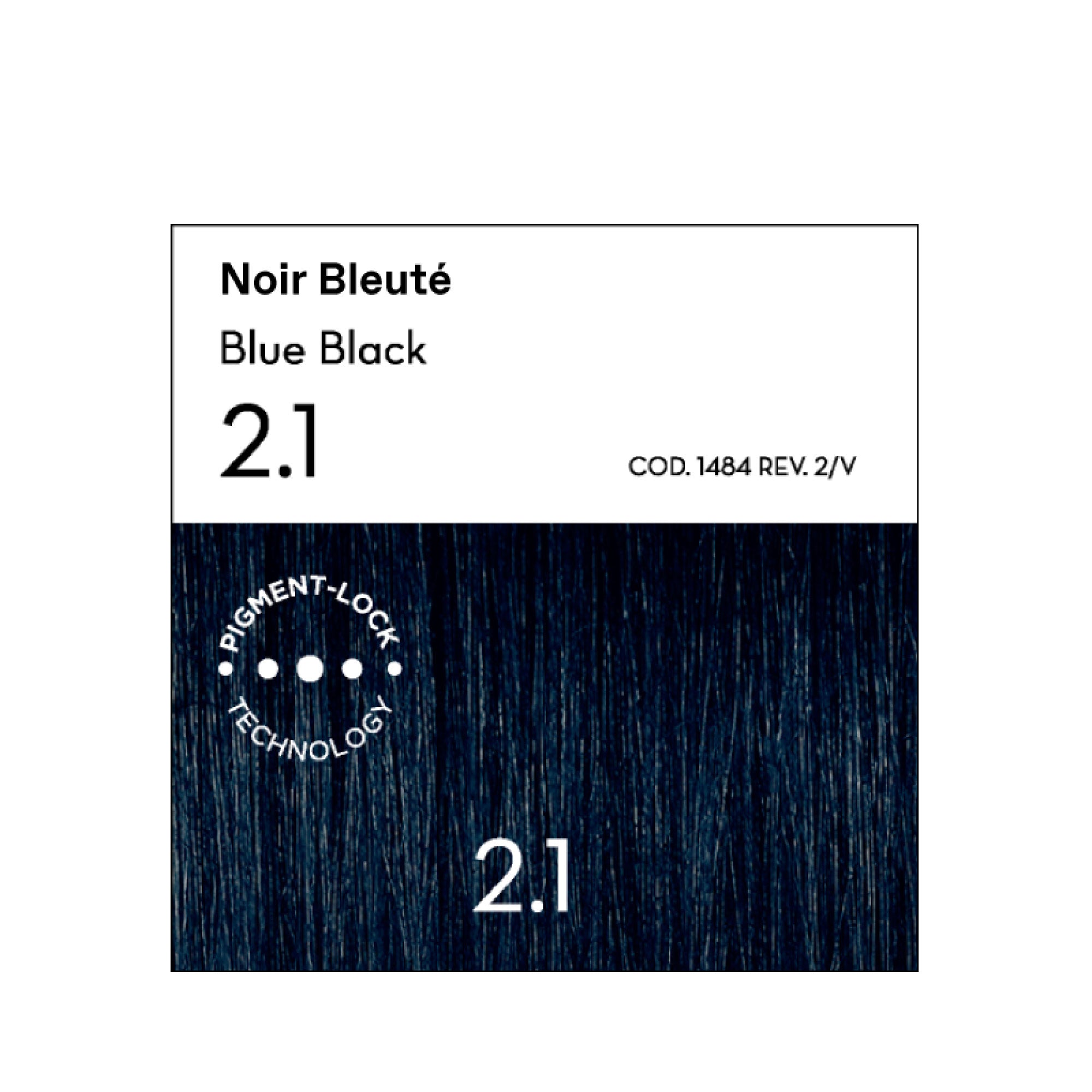 2.1 Noir Bleuté Coloration - Argan
