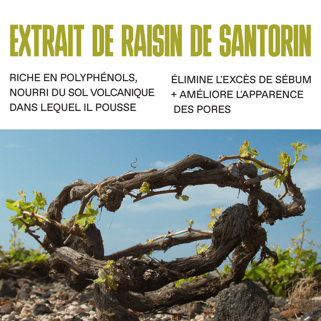 Raisin De Santorin Toner 125Ml - Anti-Pores Dilatés Perfecteur De Peau