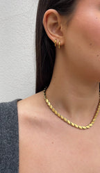 Collier Wheat