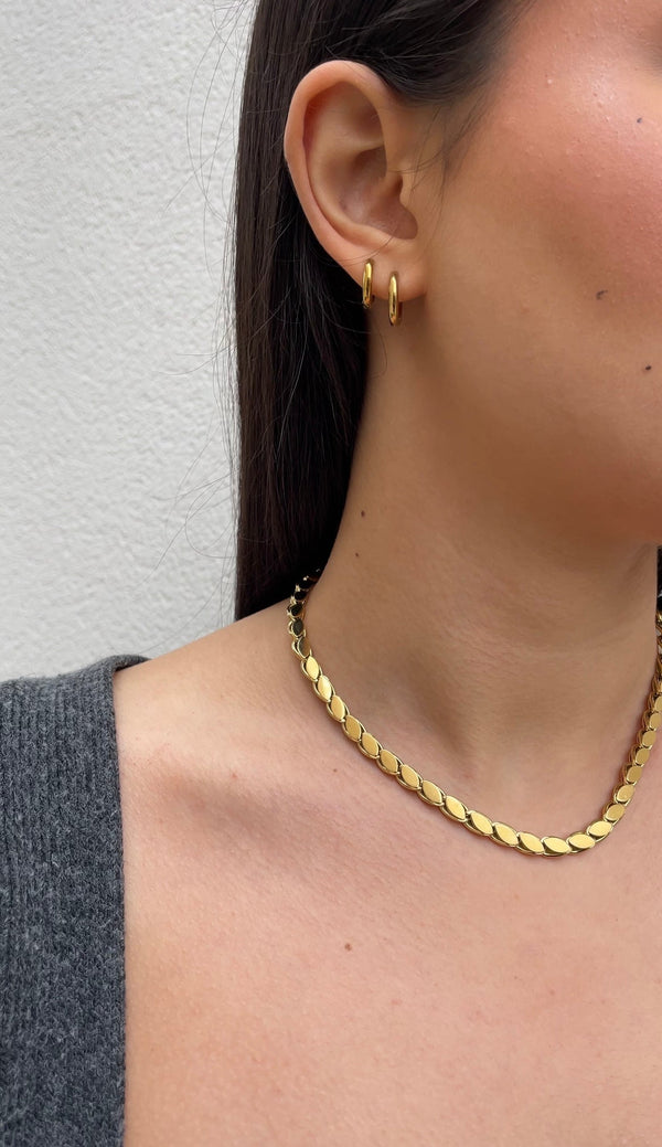 Collier Wheat