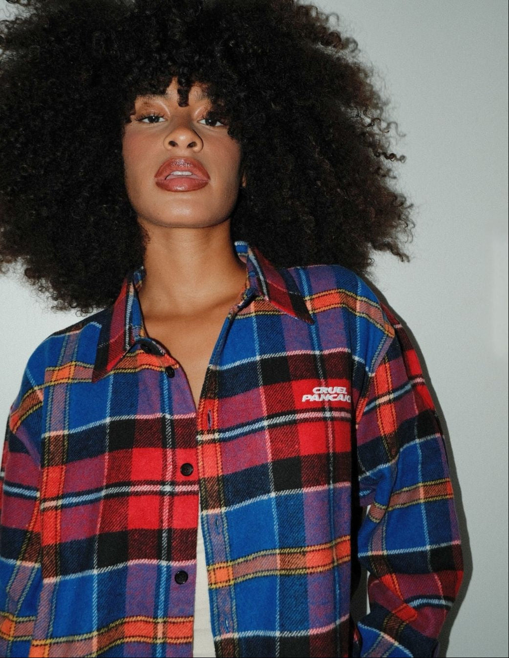 Sur-Chemise
