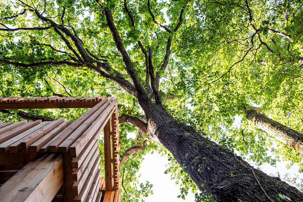 Loire Valley Lodges