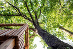 Loire Valley Lodges