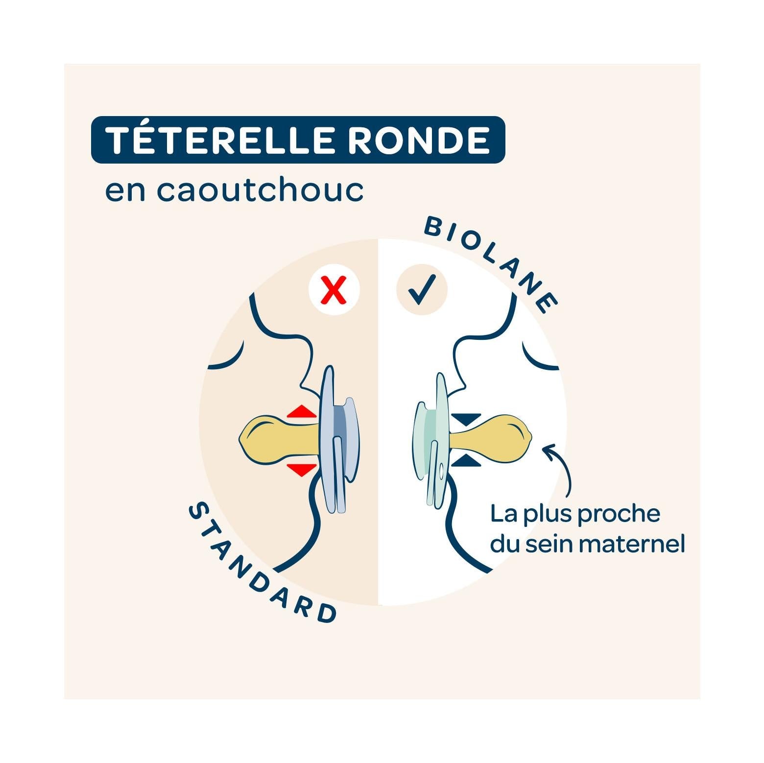 Lot De 2 Sucettes Rondes +6 Mois