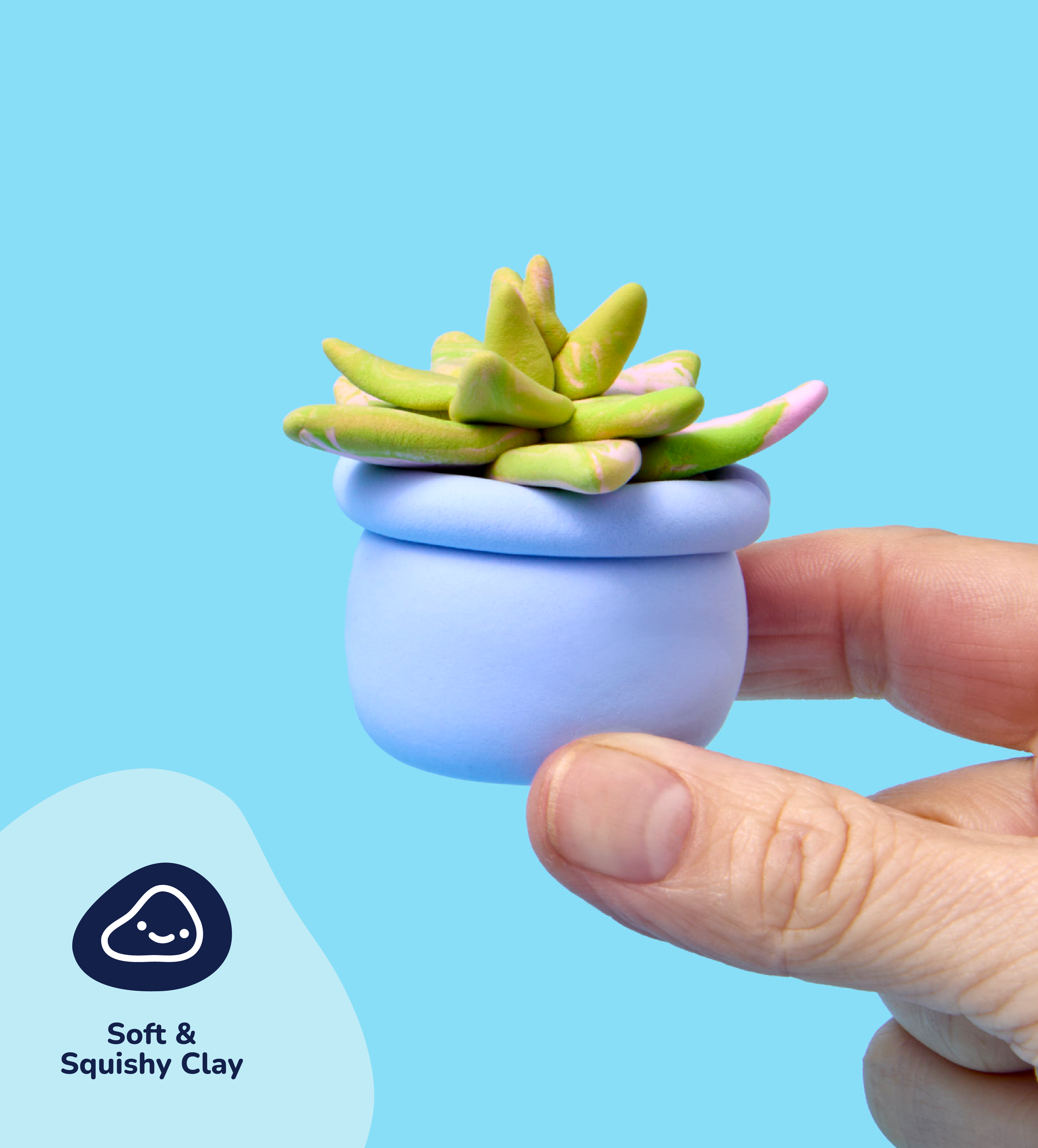 Pâte À Modeler - Bourgeons & Fleurs : Succulentes