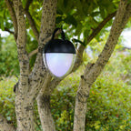 Lampe De Table Sans Fil - Ovie