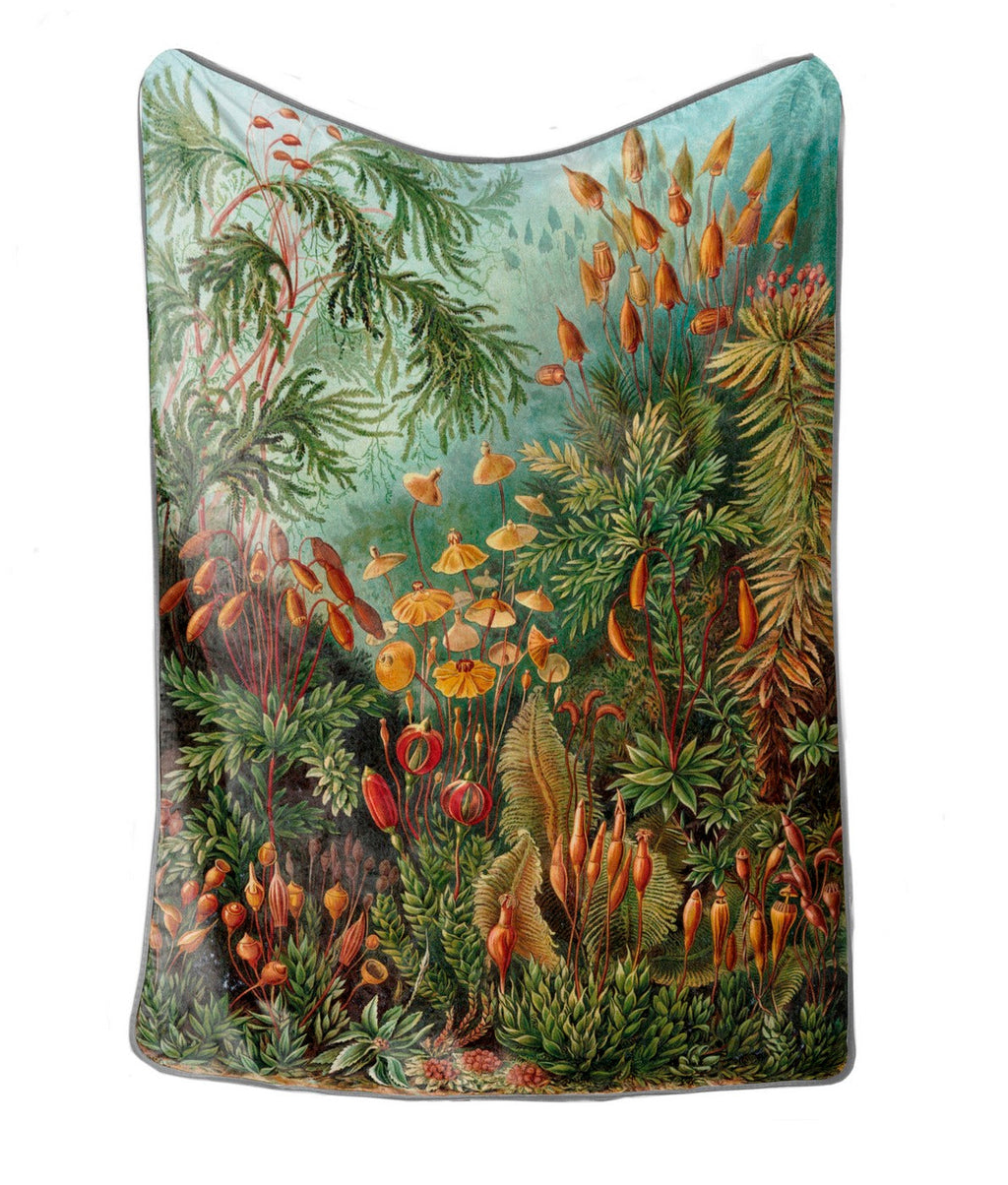 Couverture 130X170 - Forêt Profonde