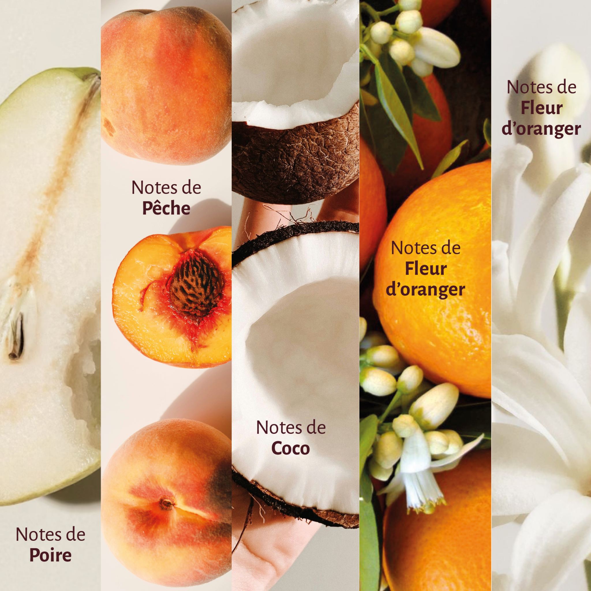 Crème solaire visage SPF50