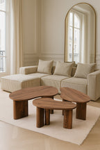 Charlie - Lot De 3 Tables Basses Organiques - Effet Noyer - Noyer