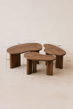 Charlie - Lot De 3 Tables Basses Organiques - Effet Noyer - Noyer