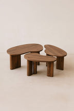 Charlie - Lot De 3 Tables Basses Organiques - Effet Noyer - Noyer
