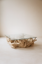 Sarannah - Table Basse - Racine De Teck/Verre