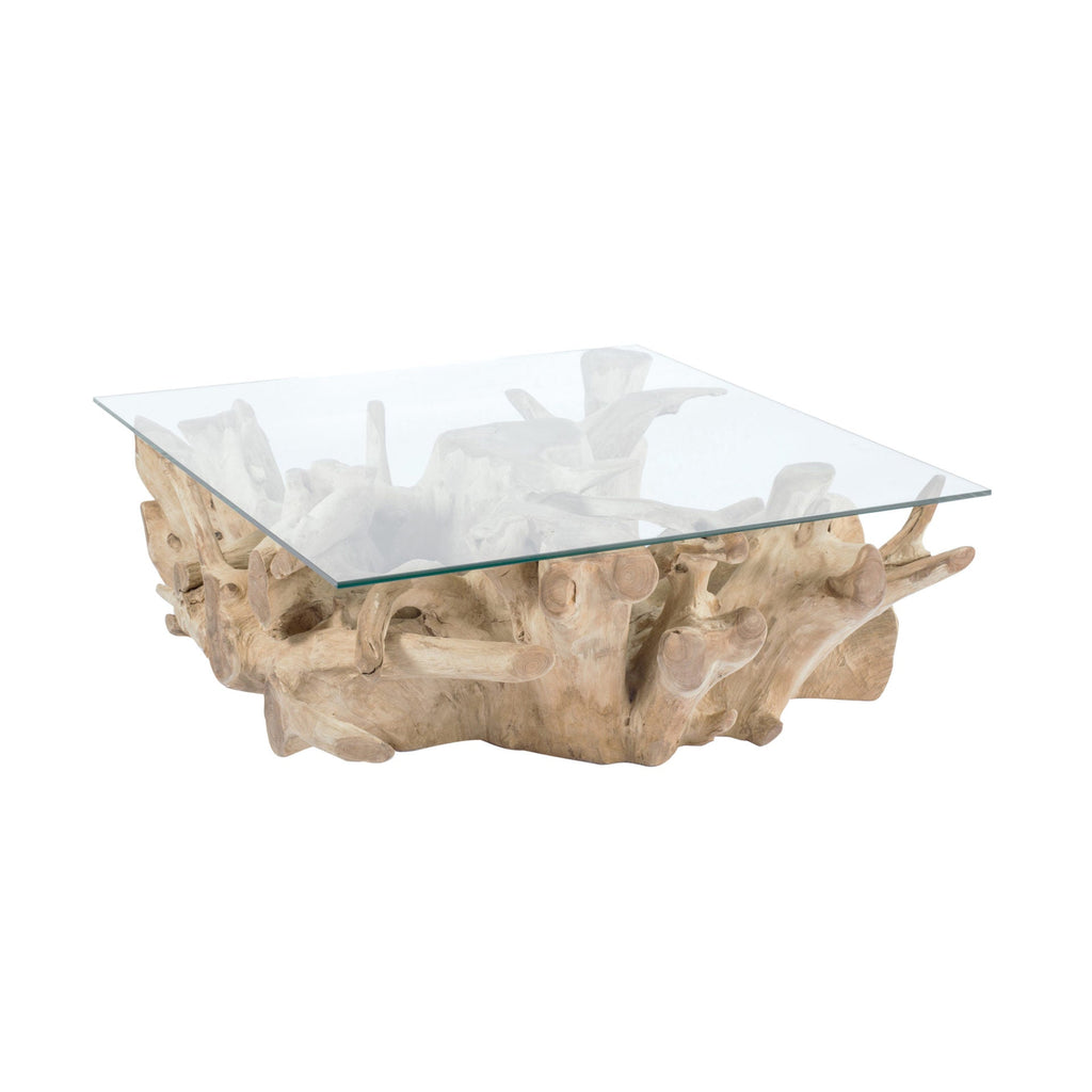 Sarannah - Table Basse - Racine De Teck/Verre