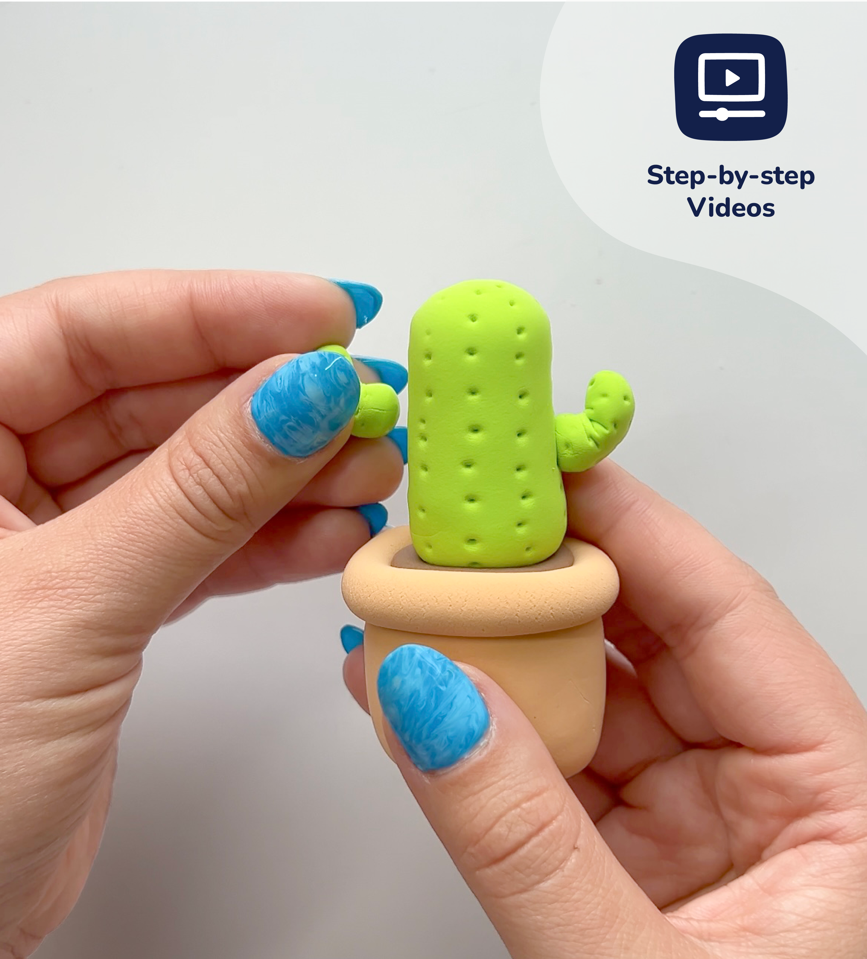Pâte À Modeler - Bourgeons & Fleurs : Cactus