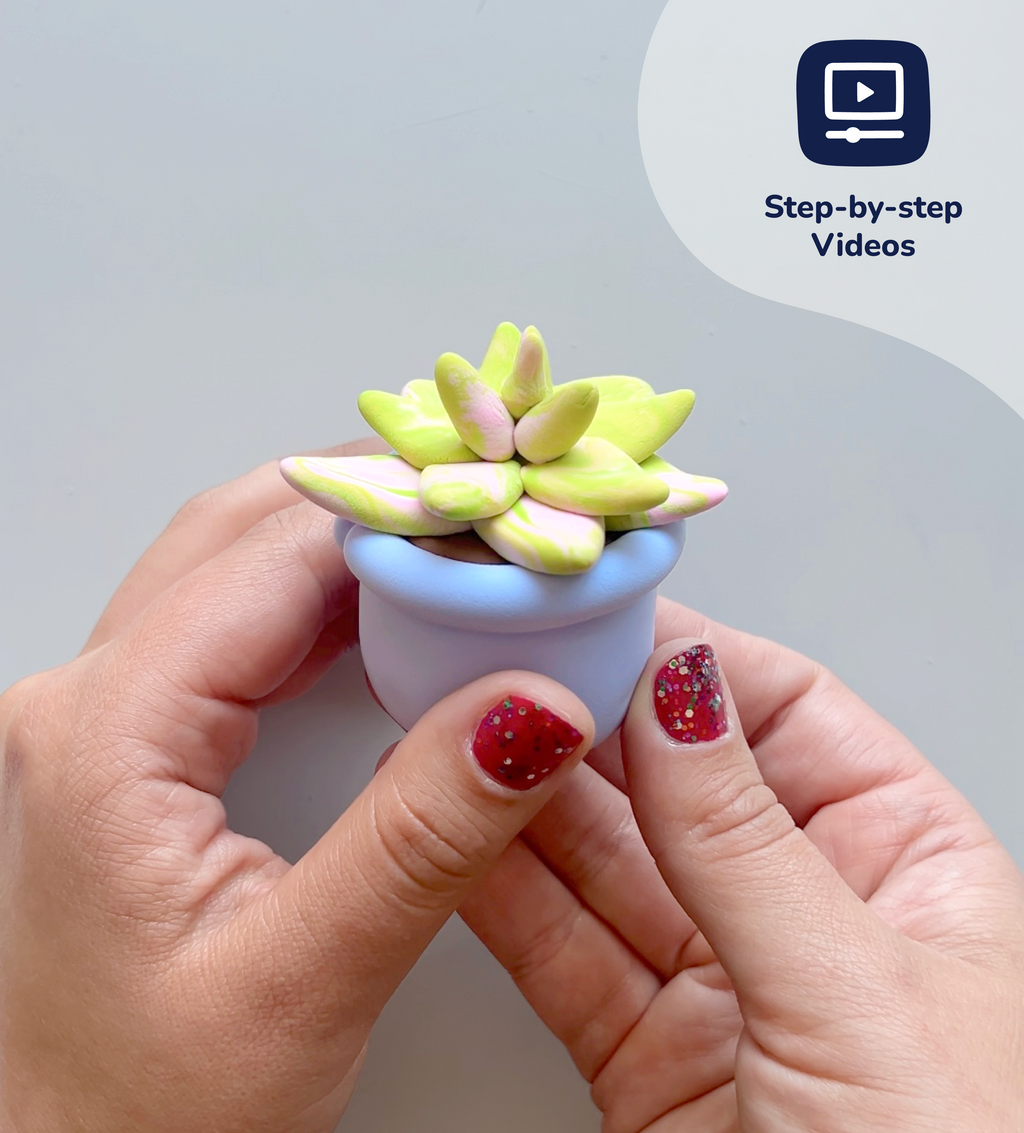 Pâte À Modeler - Bourgeons & Fleurs : Succulentes