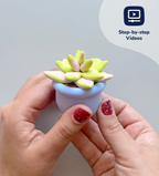 Pâte À Modeler - Bourgeons & Fleurs : Succulentes