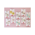 Barrettes Cheveux - Arc-En-Ciel
