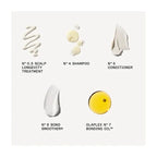 The Healthy Hair Discorvery Set