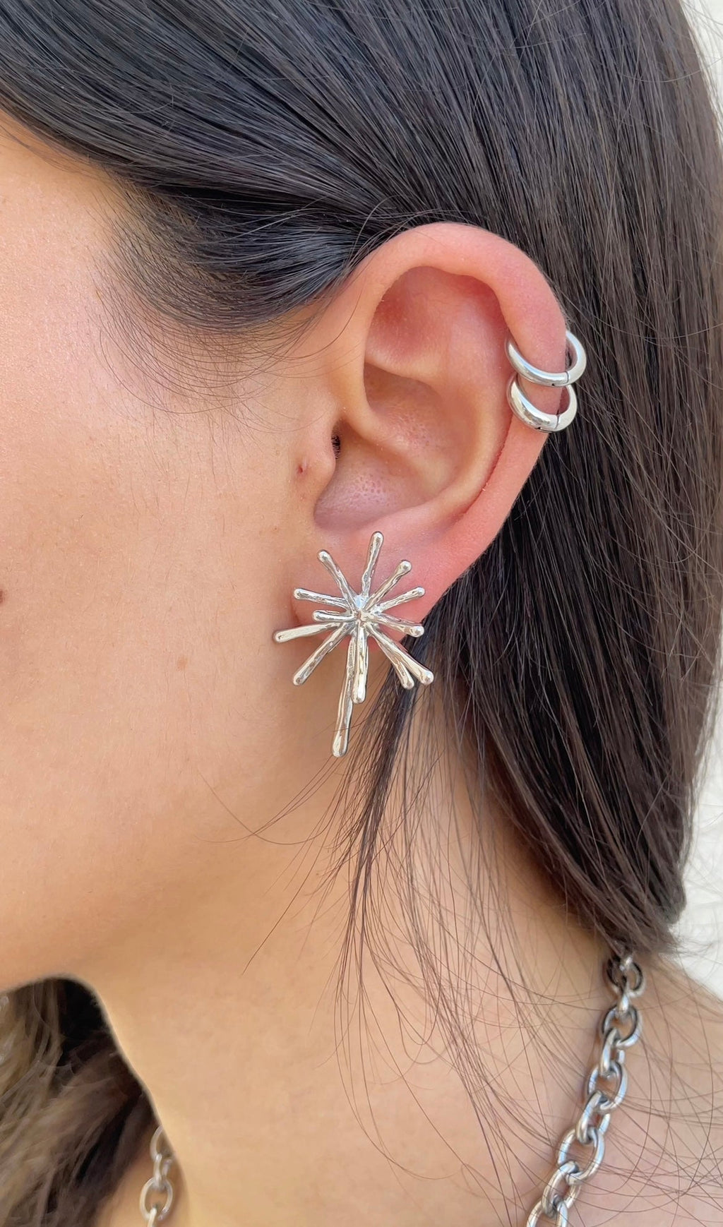Boucles D'Oreilles Polar