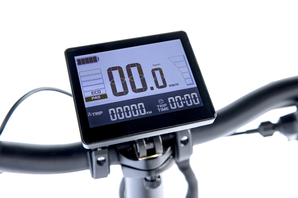Vélo Électrique Fat 20 Pro - Gris