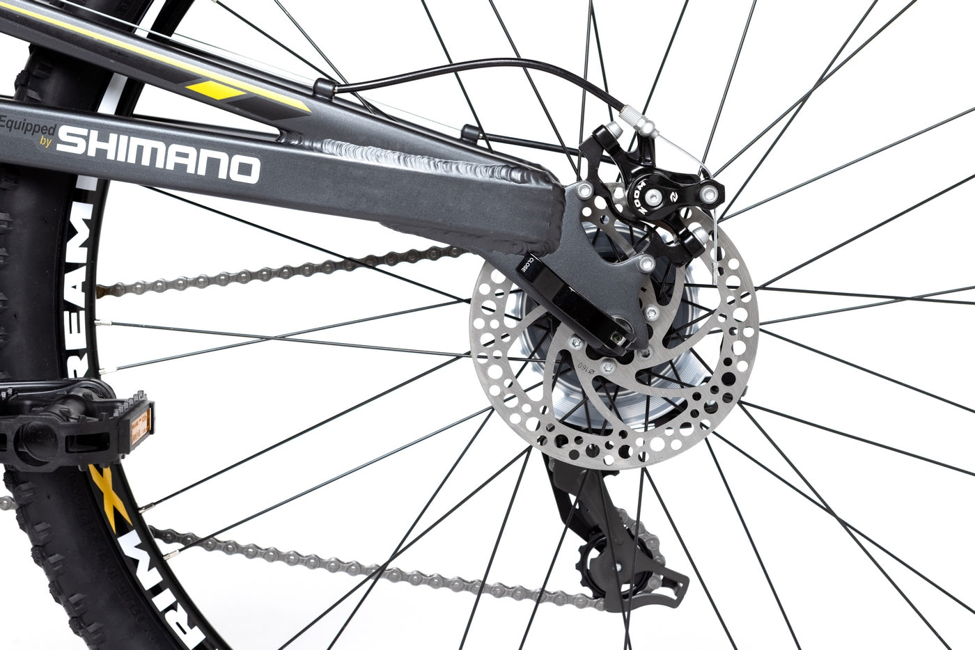 VTT - Eqx 29 - Gris