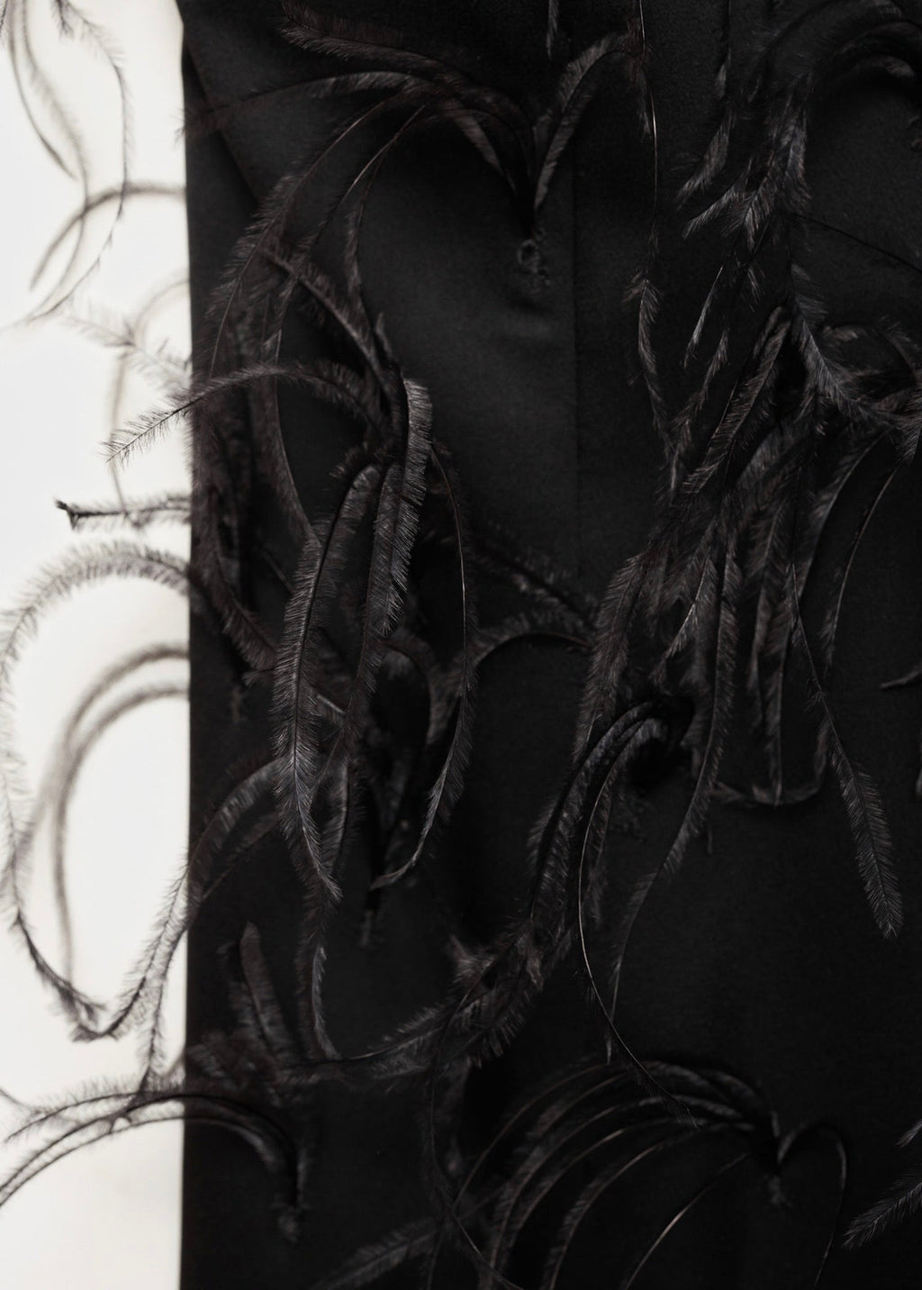 Robe Emmanchures Américaines Ornement Plumes