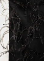 Robe Emmanchures Américaines Ornement Plumes