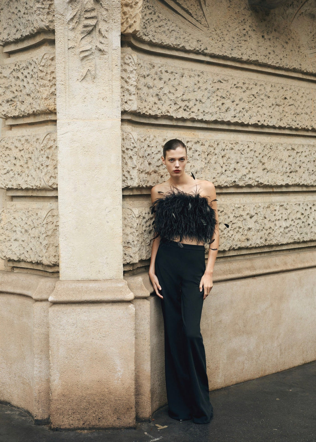 Top Bandeau Plumes