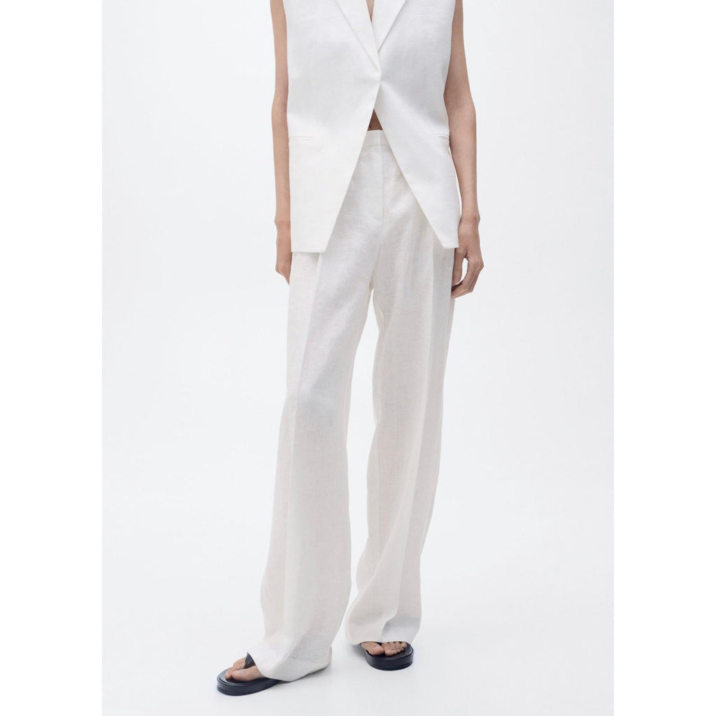 Pantalon De Costume Lin