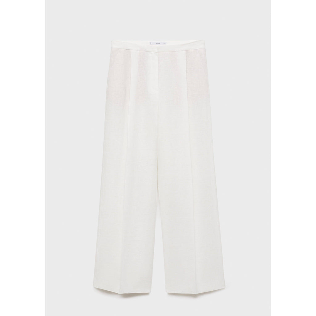 Pantalon De Costume Lin