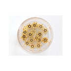 Boite De 20 Perles Heishi Intercalaire - Fleur Dorée 6X2Mm