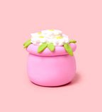 Pâte À Modeler - Bourgeons & Fleurs : Marguerite