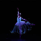 Carte-Cadeau We Call It Ballet - Spectacle Ballet - 2 personnes