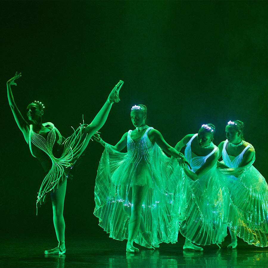 Carte-Cadeau We Call It Ballet - Spectacle Ballet - 2 personnes