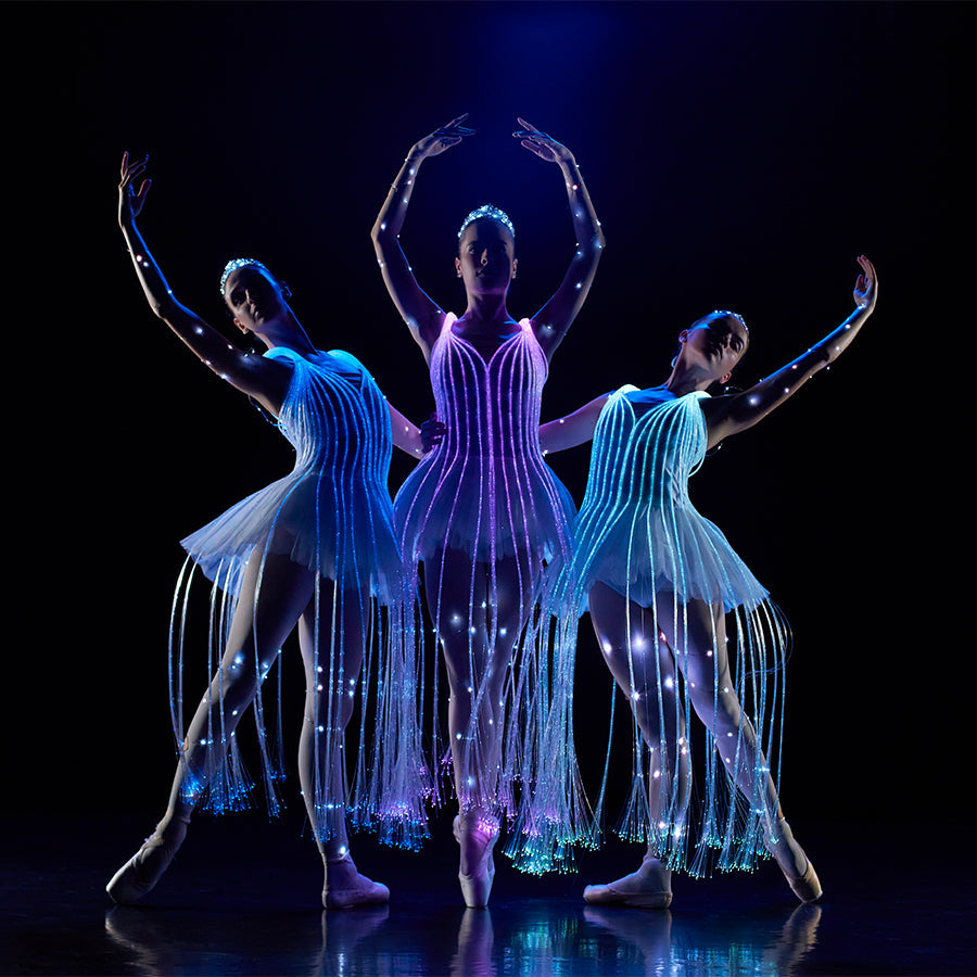 Carte-Cadeau We Call It Ballet - Spectacle Ballet - 2 personnes