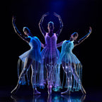 Carte-Cadeau We Call It Ballet - Spectacle Ballet - 1 personne