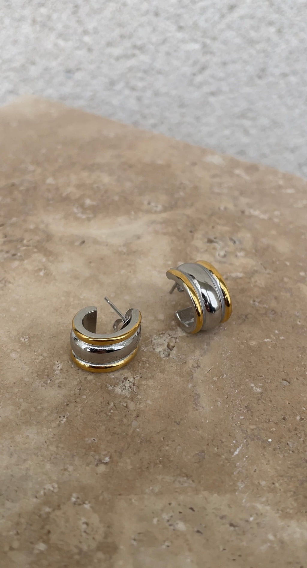 Boucles D'Oreilles Bicolor