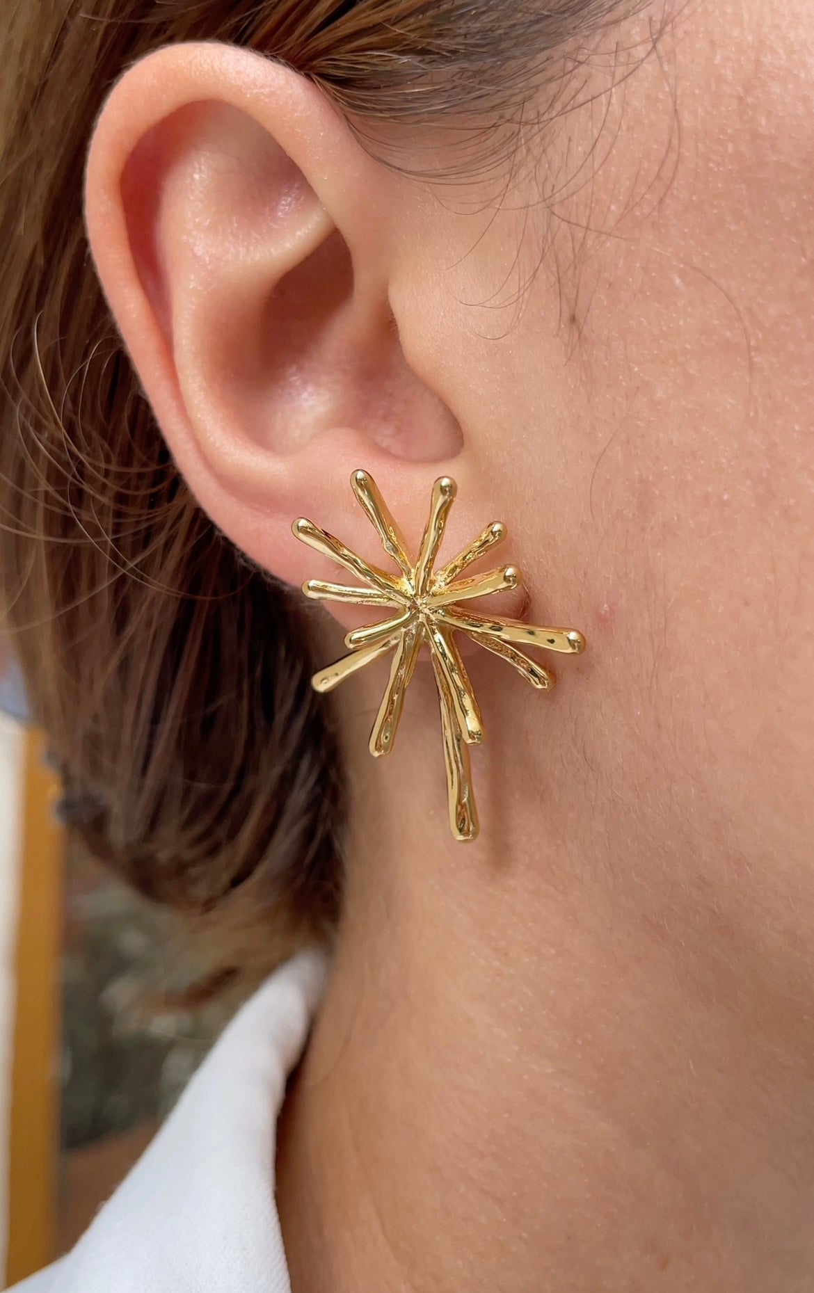 Boucles D'Oreilles Polar