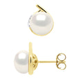 Boucles D'Oreilles Entourage Diamants 0,03 Cts Or Jaune