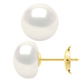 Boucles D'Oreilles En Or Jaune 375 Millièmes Et Véritables Perles De Culture D'Eau Douce Boutons 10-11 Mm