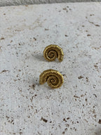 Boucles D'Oreilles Coquillage