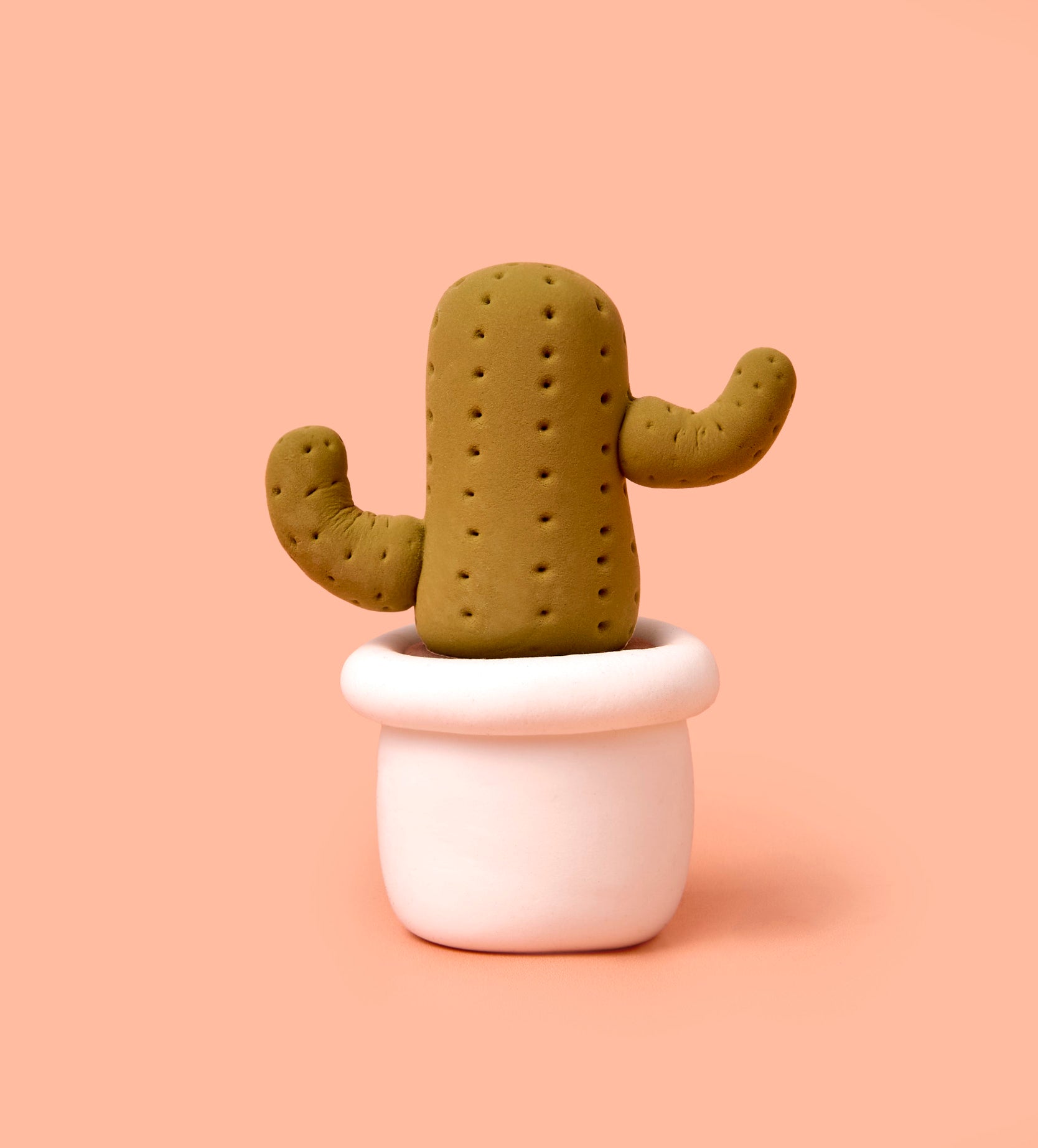Pâte À Modeler - Bourgeons & Fleurs : Cactus