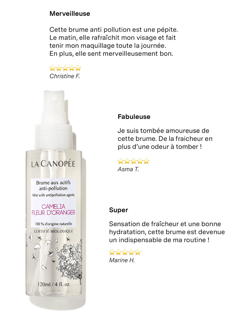 Brume Aux Actifs Anti-Pollution