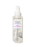 Brume Aux Actifs Anti-Pollution