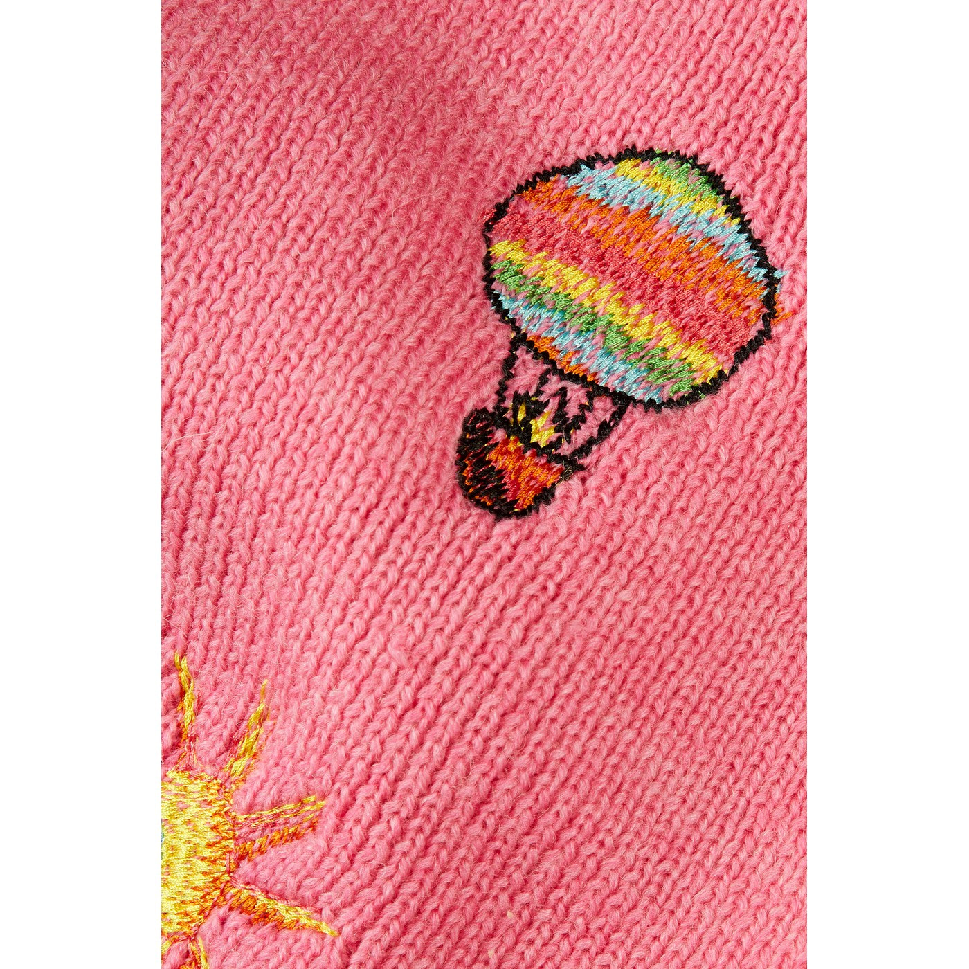 Écharpe Embroideredted