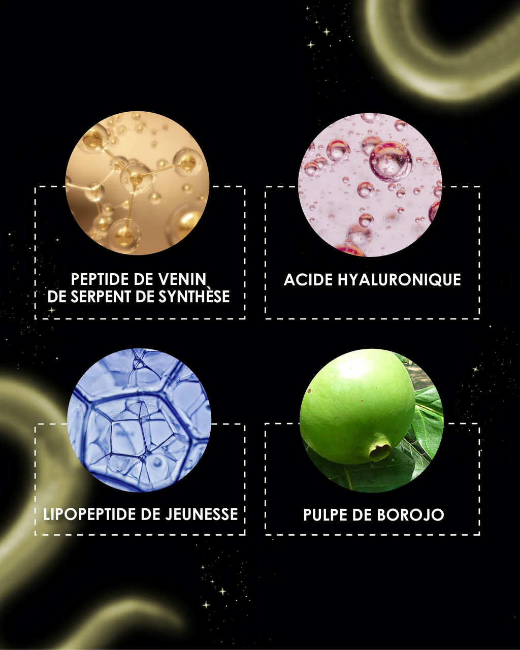 Les 4 actifs clés de la gamme Garancia Mystérieuses : Peptide de venin de serpent de synthèse, Acide hyaluronique, Lipopeptide de jeunesse et Pulpe de Borojo