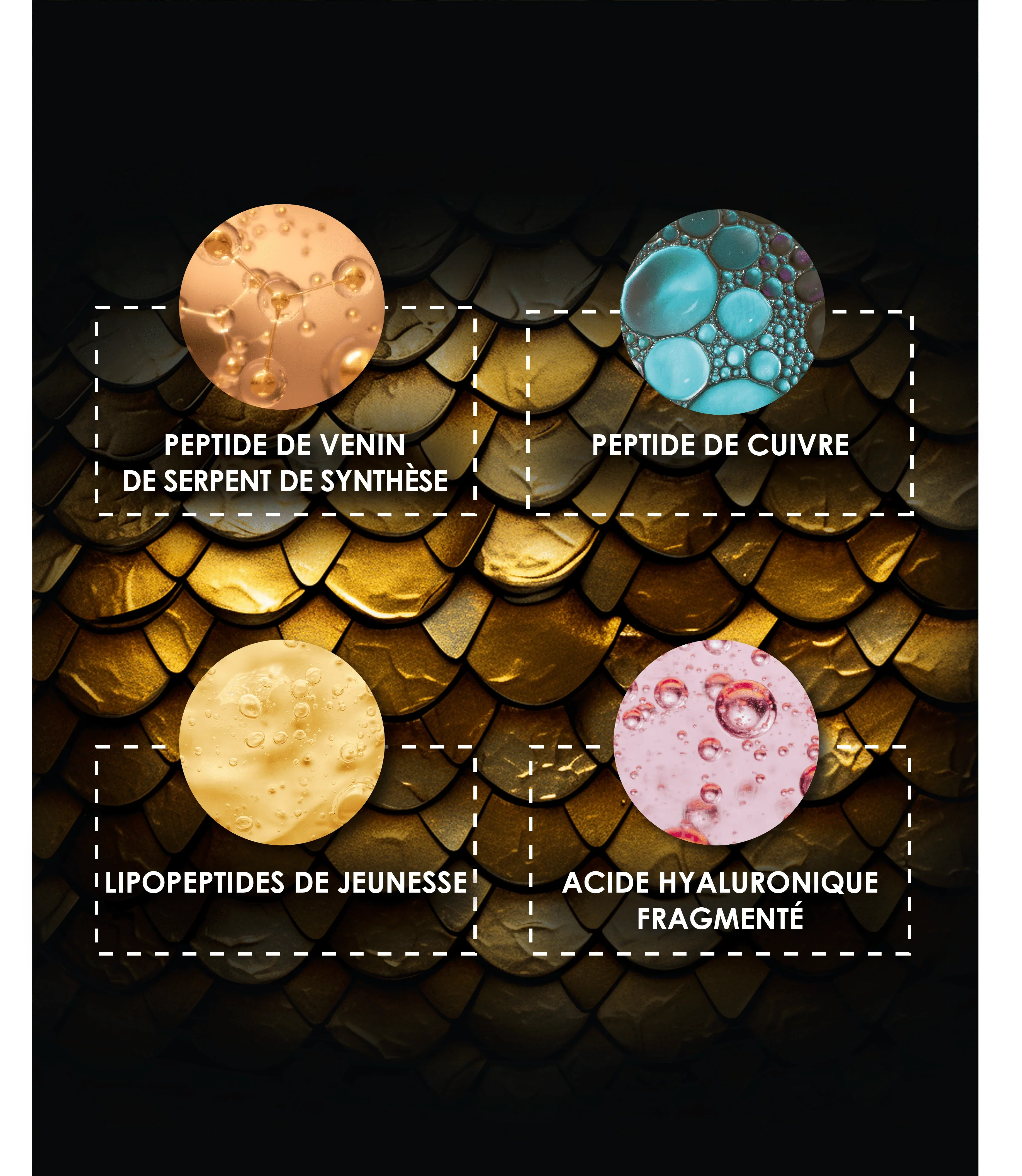 Laboratoire Garancia Anti-Âge & Anti-Rides [ MYSTÉRIEUX Mille et Un Jours ] Actifs anti-âge de pointe du soin Garancia Mystérieux : Peptide de venin de serpent de synthèse, Peptide de cuivre, Lipopeptides de jeunesse et Acide Hyaluronique fragmenté.