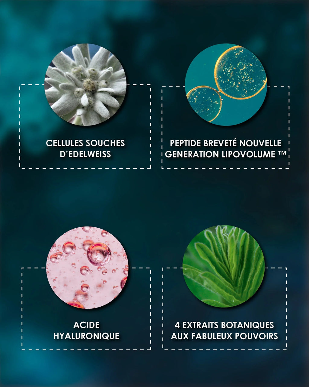 Laboratoire Garancia Anti-Âge & Anti-Rides [ ÉTOILE du jour ] - Éco-Recharge : Liste des ingrédients actifs Garancia Étoile du Jour : Edelweiss, Peptide breveté Lipovolume, Acide Hyaluronique et extraits botaniques pour une action anti-âge et volumatrice.
