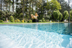 Loire Valley Lodges